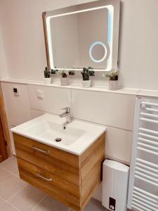 ein Bad mit einem Waschbecken und einem Spiegel in der Unterkunft Premium-Ferienhaus - Extertal-Ferienpark #49 in Extertal