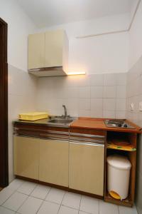 Køkken eller tekøkken på Apartments with WiFi Selce, Crikvenica - 5565