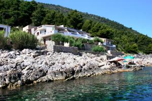 a house on the shore of a body of water at Apartments by the sea Cove Solotisa, Hvar - 5610 in Bogomolje