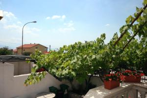 Vonkajšia záhrada v ubytovaní Apartments with parking spaces Novi Vinodolski - 5593