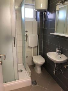 a bathroom with a toilet and a sink and a shower at Apartments with a parking space Sutivan, Brac - 5629 in Sutivan