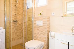 a bathroom with a shower and a toilet and a sink at Apartments with a parking space Bol, Brac - 5641 in Bol +30 photos