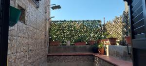エルバルンガにあるRelaxing Paradise Chez Nicoliniの鉢植えの中庭