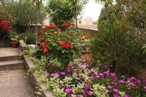 Ein Garten an der Unterkunft Apartments with a parking space Krk - 5364