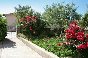 Ein Garten an der Unterkunft Apartments with a parking space Krk - 5364