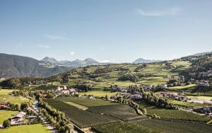 an aerial view of a vineyard in the mountains at apartments55 in Bressanone