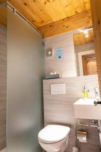 Vannituba majutusasutuses Hôtel Alpina - Swiss Ski & Bike Lodge Grimentz +37 fotot