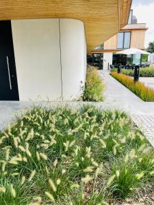 un champ de plantes devant un bâtiment dans l'établissement Hotel Bell-X Kortrijk-Wevelgem, à Wevelgem