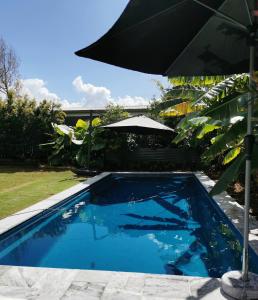 uma piscina com um guarda-sol num quintal em OXLEY Private Heated Mineral Pool & Private Home em Brisbane