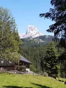 uma montanha à distância com uma casa e árvores em Plaik-Häusl em Annaberg im Lammertal