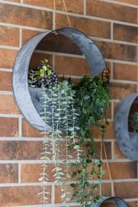 a plant in a pot hanging on a brick wall at Family Apartment 62m - Sowia with GARAGE & BALCONY by Renters in Poznań