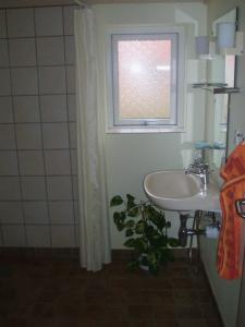 a bathroom with a sink and a window and a plant at Glyngøre Bed & Breakfast II in Glyngøre