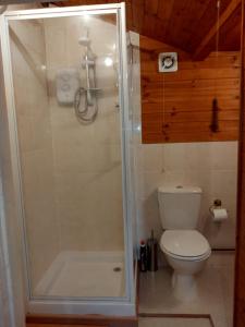 a bathroom with a shower and a toilet at self contained flat in Llanfyllin Powys in Llanfyllin