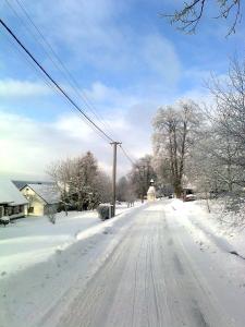 a snow covered street with power lines and trees at Penzion Pod Vyhlídkou in Pecka