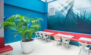 a restaurant with tables and chairs and a potted plant at ibis Styles Toulon Centre Port in Toulon