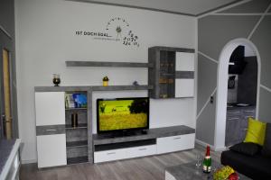uma sala de estar com uma televisão de ecrã plano na parede em FeWo Sonja em Sankt Andreasberg