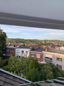 a view of a city from the roof of a building at Les chineurs du 81 in Liège