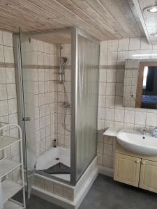 a bathroom with a shower and a sink at Fewos Familie Krysik in Lühmannsdorf
