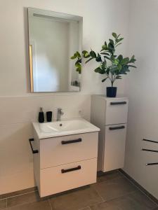 a bathroom with a sink and a mirror and a potted plant at Sorinas Unterkunft WB16 Top 6 