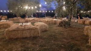 a group of hay bales in a field at night at beucarnea apartment salerno in Eboli