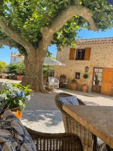 una mesa y sillas frente a un árbol en La Maison de Platane B&B, en Fayence