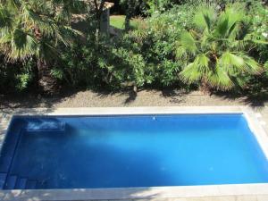 una piscina azul en un patio con palmeras en Cosy apartment with private swimming pool, en Santa Cristina d'Aro