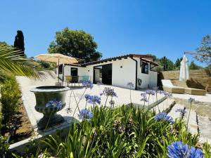 a villa with a garden and a house at Marti Watersports in Martinchel