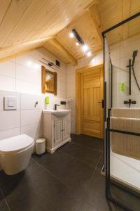 uma casa de banho com um WC, um lavatório e um chuveiro em Apartament w Bukowej Chacie em Mörken
