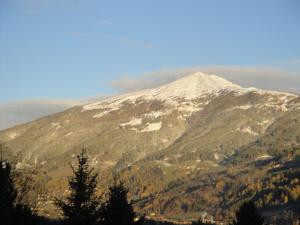 una montaña cubierta de nieve con árboles en el primer plano en Hotel Pension Schwaiger, en Sankt Margarethen im Lungau