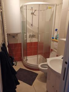 uma casa de banho com um chuveiro, um WC e um lavatório. em Appartement au pied des pistes em Saint-Lary-Soulan