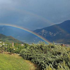 a rainbow over a field with a mountain in the background at Agritur Maso Spezial in Villa Lagarina