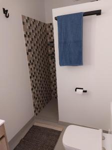 アロラにあるB&B Rincón Del Mundoのバスルーム(トイレ、青いタオル付)