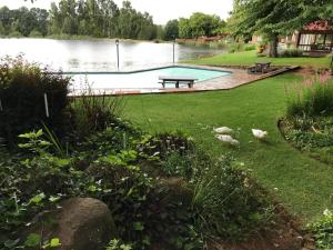 un parque con un estanque con una mesa de picnic y patos en Lakeside Chalets Critchley Hackle Lodge, en Dullstroom