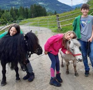 two girls and a boy standing next to a pony at Gästehaus Biobauernhof Mandl in Murau