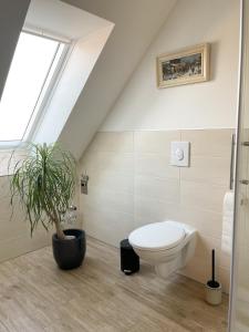 een badkamer met een toilet en een potplant bij Ferienwohnung Kamrath mit wunderschönem Ausblick in Neuruppin