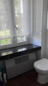 a bathroom with a white toilet and two windows at Cà Vittoria in Desenzano del Garda