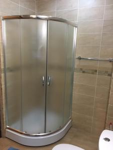 a shower stall in a bathroom with a toilet at Bakuriani K-2 Apartment in Bakuriani