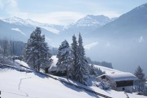Paesaggio naturale nelle vicinanze dell'affittacamere