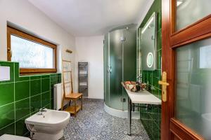 a bathroom with a toilet and a shower and a sink at Apartment Václavov in Děčín