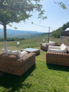 eine Gruppe Korbsofas auf dem Gras in der Unterkunft Pensiunea Casa Buna in Gîrbova