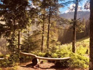 a wooden bench sitting in the middle of a forest at Ferienhaus Wiesenchalet im Sauerland in Schalksmühle