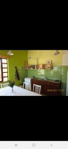 a kitchen with green walls and a table and chairs at Basil Apartments and Rooms in Betina