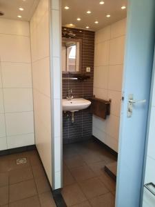 ein Bad mit einem Waschbecken und einem Spiegel in der Unterkunft B & B Ayo in Wapserveen