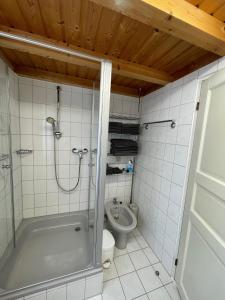 ein Bad mit einer Dusche und einem WC in der Unterkunft Majo in Koblenz