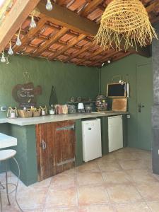 Auriol的住宿－La Maison Perchée，厨房设有绿色的墙壁和台面