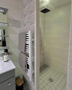 y baño con ducha y lavamanos. en Charmant studio au coeur du centre ville, en Chagny
