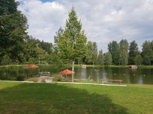 un parc avec un banc, un quai et un lac dans l'établissement Nuibauers-Hof, à Erlenmoos