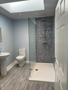 a bathroom with a shower and a toilet at Mourne View in Killough