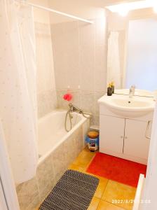 Koupelna v ubytování Appart Douillet