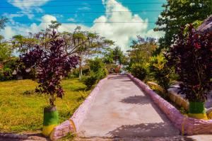 a walkway in a field with trees and plants at Zanzi Rest Bungalow in Nungwi